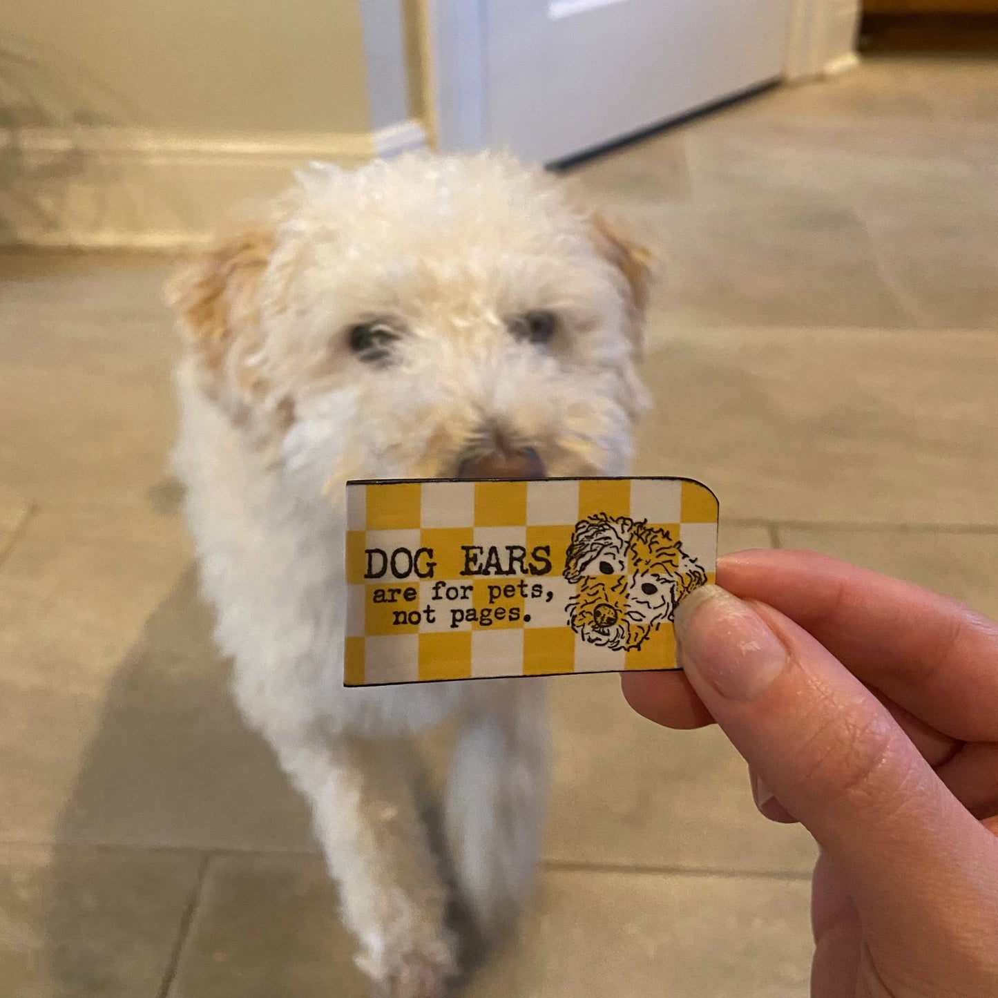 *New* 🐶🐾 Dog Ears Single Magnetic Bookmark