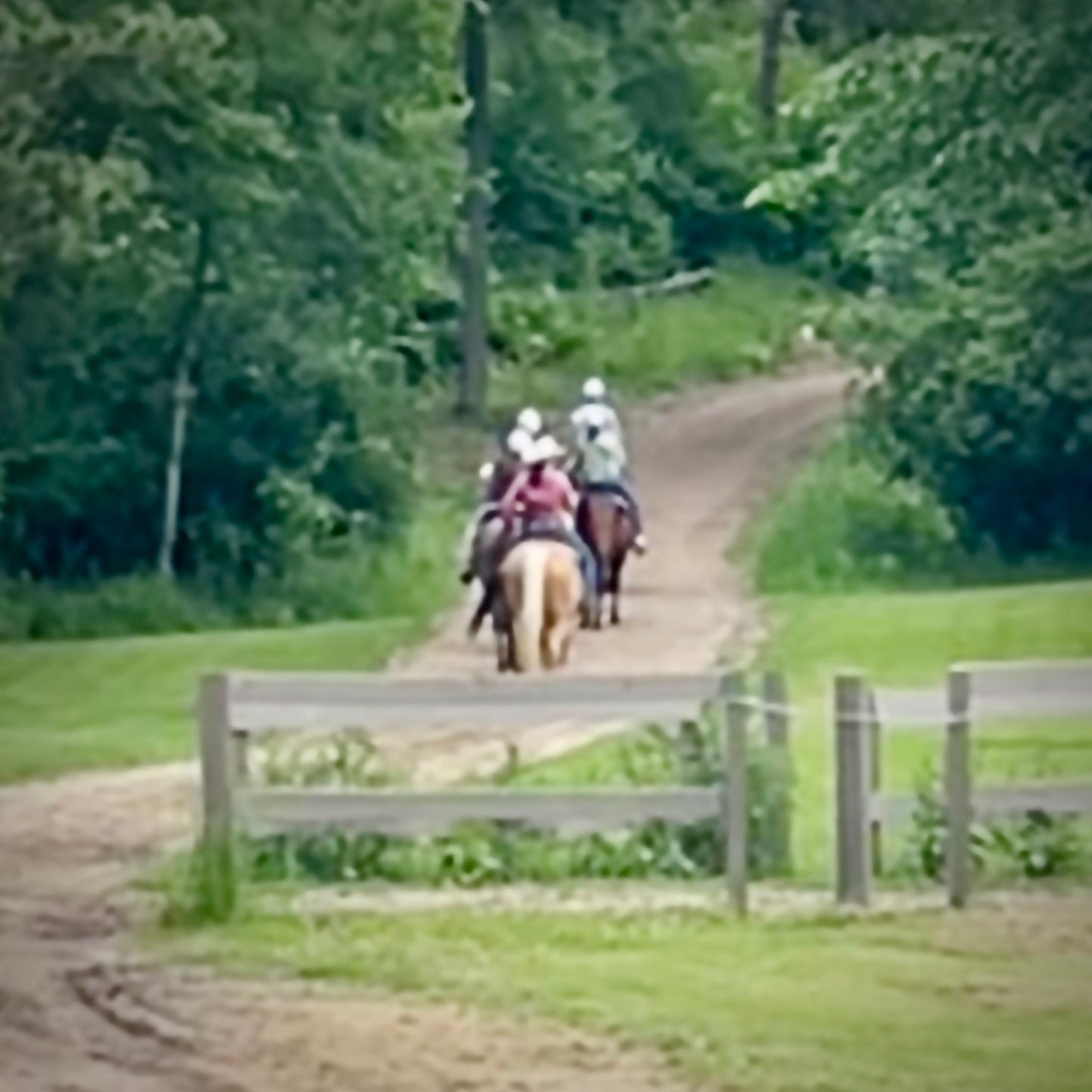 Horseback Trail Ride